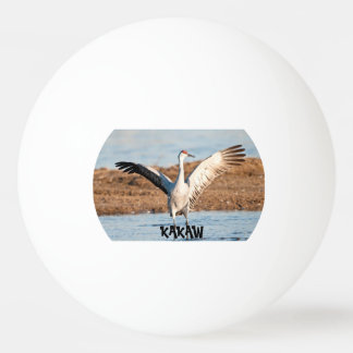 KAKAW Ping Pong Ball