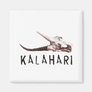 Kalahari desert in Africa: Dead antelope skull Magnet