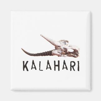 Kalahari desert in Africa: Dead antelope skull Magnet
