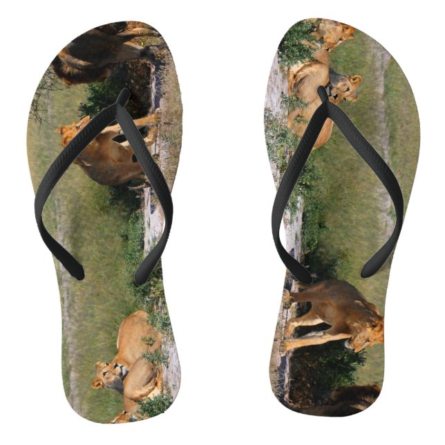 Kalahari Desert Lions Flip Flops (Footbed)