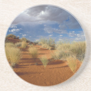 Kalahari Desert Scene, Kgalagadi Transfrontier 2 Coaster