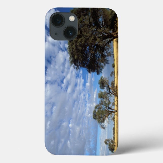 Kalahari Desert Scene, Kgalagadi Transfrontier Case-Mate iPhone Case (Back)