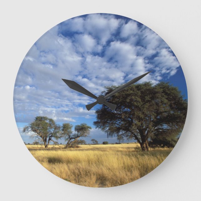 Kalahari Desert Scene, Kgalagadi Transfrontier Large Clock (Front)