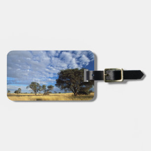 Kalahari Desert Scene, Kgalagadi Transfrontier Luggage Tag