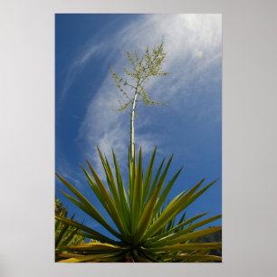 Kalalau Cactus Canvas Print