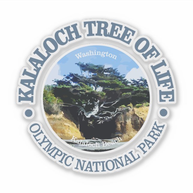 Kalaloch Tree of Life (Front)