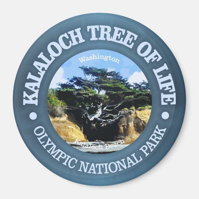Kalaloch Tree of Life Magnet (Front)