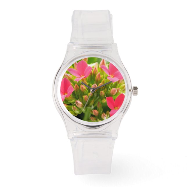 Kalanchoe blossfeldiana watch (Front)