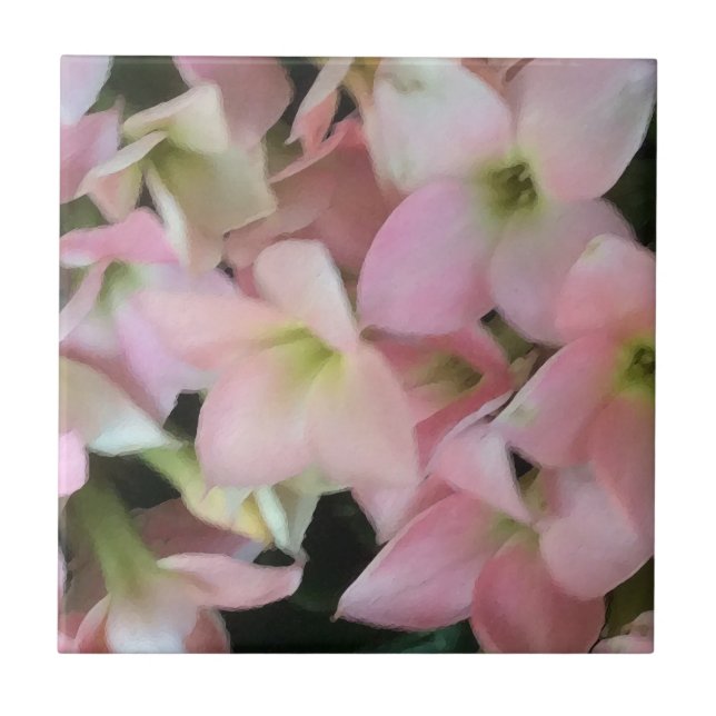 Kalanchoe Flowers Tile (Front)