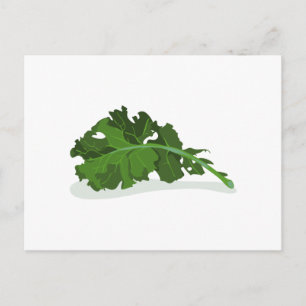 Kale Leaf Postcard