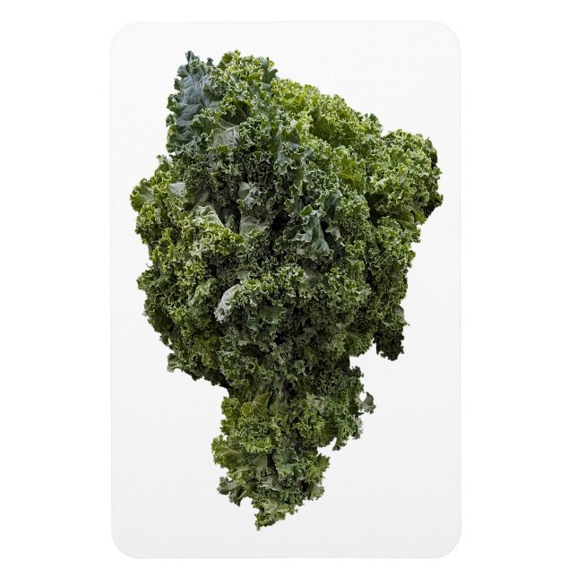 Kale Photo Magnet (Vertical)