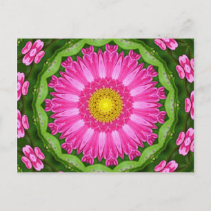 Kaleidoscope Aster Postcard
