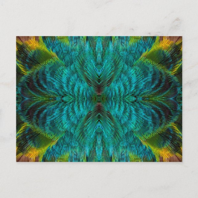 Kaleidoscope Feather Design Postcard (Front)