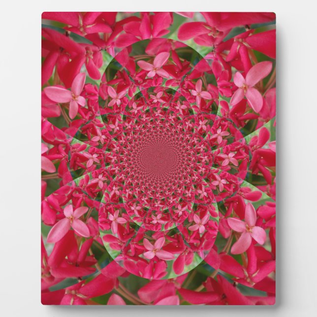 Kaleidoscope of Crimson: Blood Milkweed Flower Art Plaque (Front)
