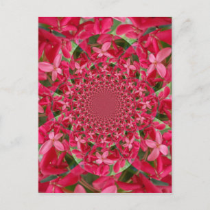 Kaleidoscope of Crimson: Blood Milkweed Flower Art Postcard