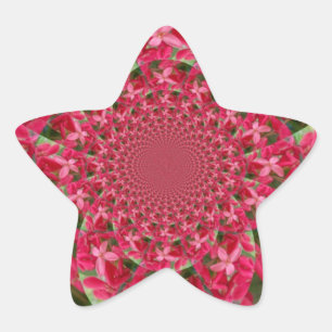 Kaleidoscope of Crimson: Blood Milkweed Flower Art Star Sticker