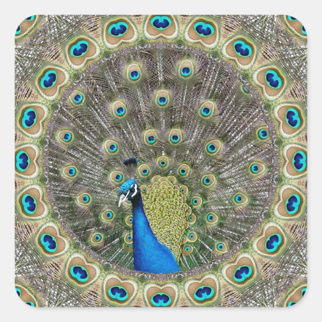 Kaleidoscope Peacock Square Sticker (Front)