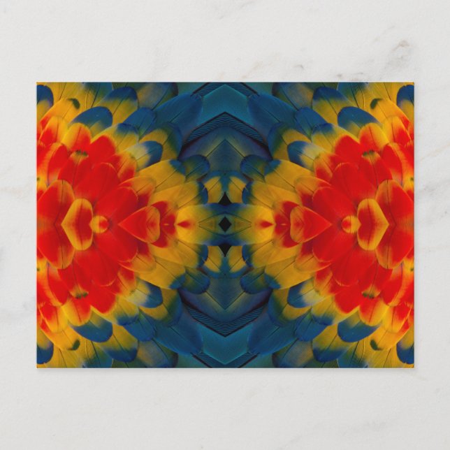 Kaleidoscope Scarlet Macaw design Postcard (Front)