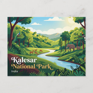 Kalesar National Park India Postcard