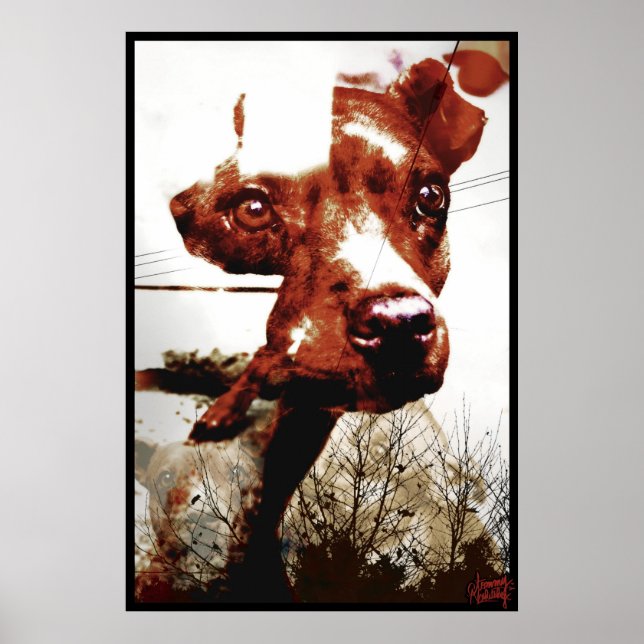 Kali Doggy Poster (Front)