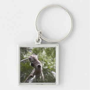 kalispell, montana, united states of america key ring