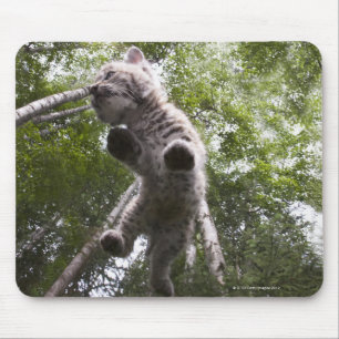 kalispell, montana, united states of america mouse mat