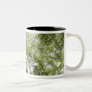 kalispell, montana, united states of america Two-Tone coffee mug