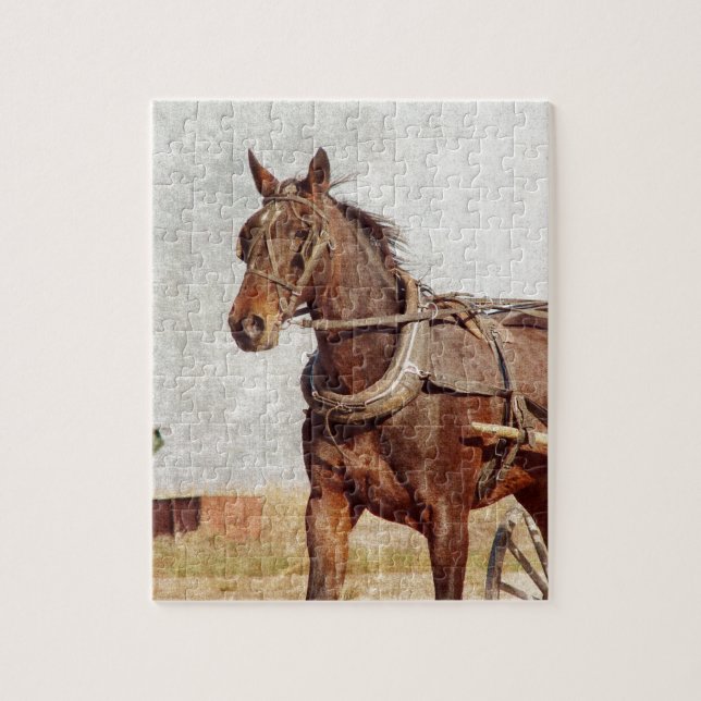 Kalona, Iowa Amish Horse and Buggy Jigsaw Puzzle (Vertical)