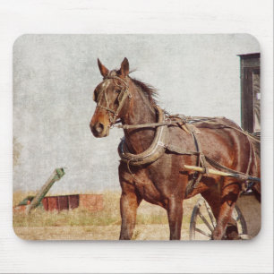 Kalona, Iowa Amish Horse and Buggy Mouse Mat