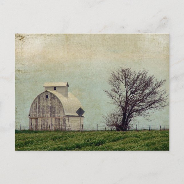 Kalona Iowa Fields and Barn With Tree Postcard (Front)