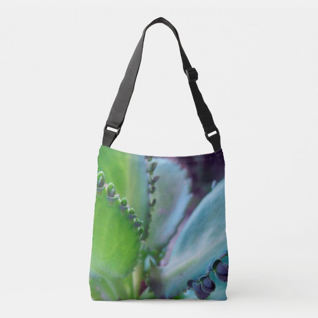 Kalonchoe Colours Crossbody Bag (Front)