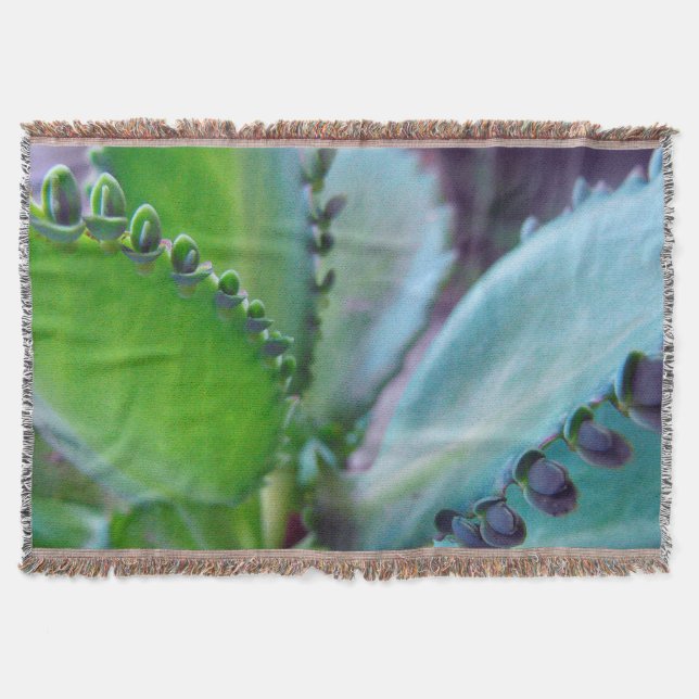 Kalonchoe Colours Throw Blanket (Front)