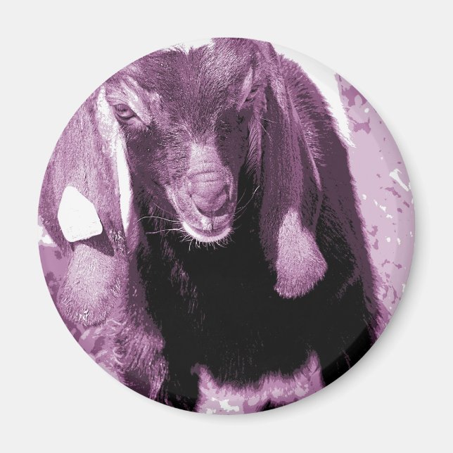 Kalvin 2 magnet (Front)