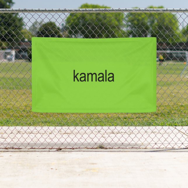 Kamala Harris is Brat Banner (Insitu)