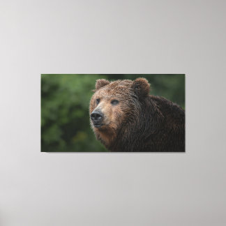 Kamchatka Brown Bear Canvas Print