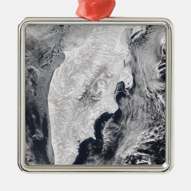 Kamchatka Peninsula, Eastern Russia Metal Tree Decoration (Front)