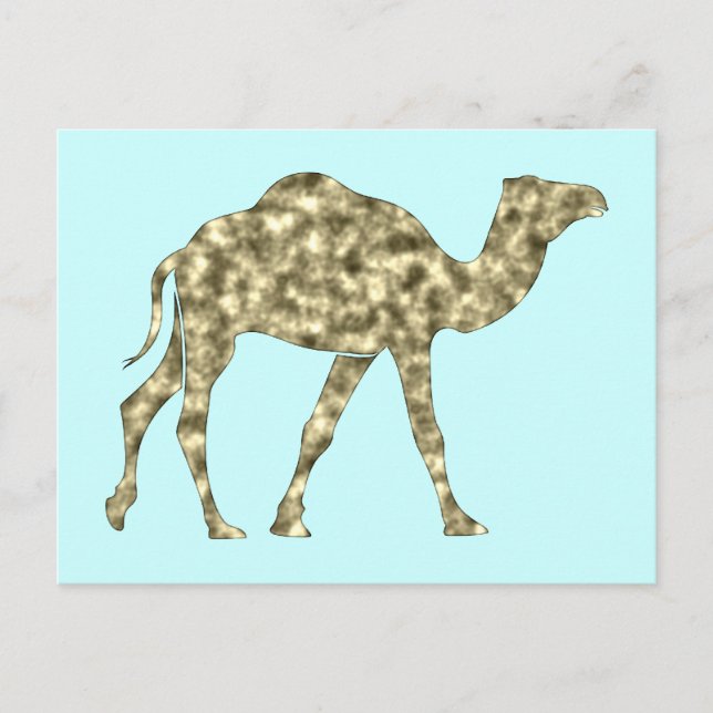 Kamel camel postcard (Front)