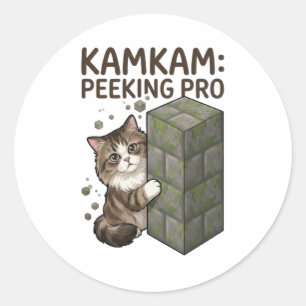 KAMKAM Peeking Pro Funny Pixel Block Cat Art Classic Round Sticker