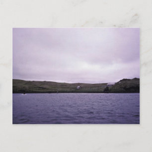 Kanaga Fox Farm Historic Ruins Postcard