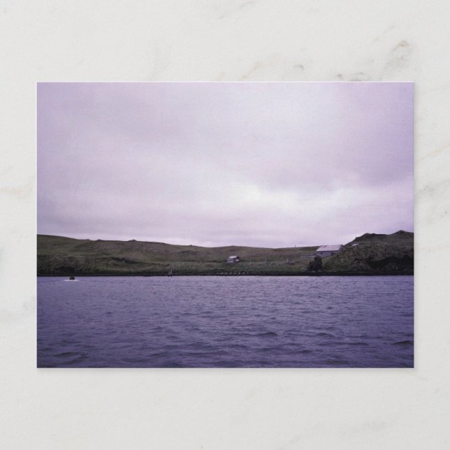 Kanaga Fox Farm Historic Ruins Postcard (Front)