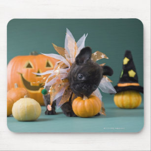 Kanagawa, Honshu, Japan Mouse Mat