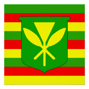 Kanaka Maoli Flag Poster