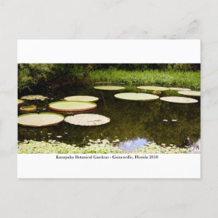 Kanapaha Gardens - Gainesville 001 Postcard