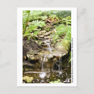 Kanapaha Gardens - Gainesville 002 Postcard