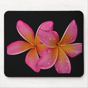 Kaneohe Sunburst Plumeria Mouse Mat