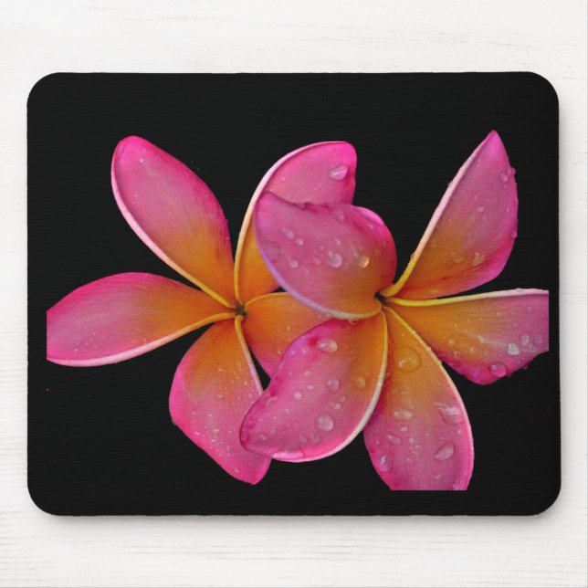 Kaneohe Sunburst Plumeria Mouse Mat (Front)