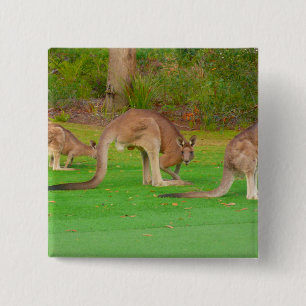 kanga 15 cm square badge