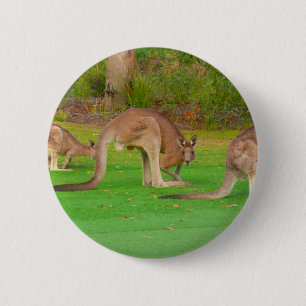 kanga 6 cm round badge
