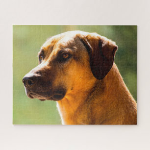 Kangal Dog. Jigsaw Puzzle
