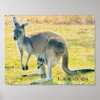 Kangaroo and Baby Poster